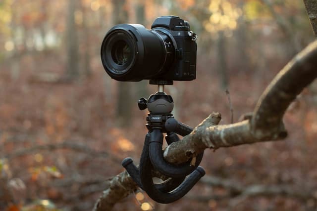 Tripods